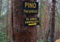 sector-prusia-wegweiser